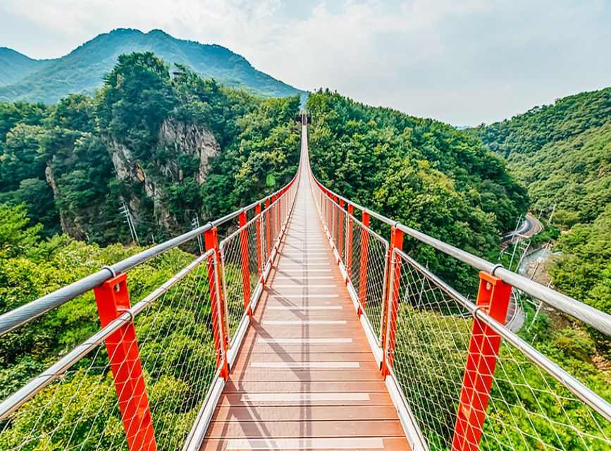 DMZ Insider Tour: 3rd Tunnel, NK Defector Meet & Red Bridge - The full-day boat option