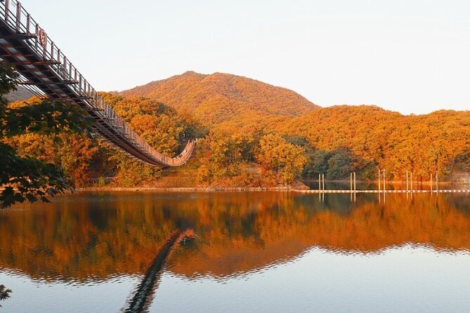 DMZ Private Tour: 3rd Tunnel, Option(Suspension Bridge, Boat) - Choosing Majang Lake Suspension Bridge