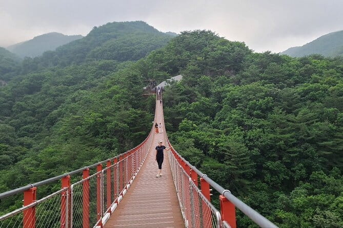 DMZ Private tour & Suspension Bridge - Key details before you book