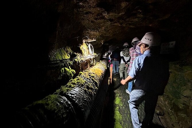 DMZ Tour: 2nd Tunnel with Y-shaped suspension bridge from Seoul - What the $95 price includes