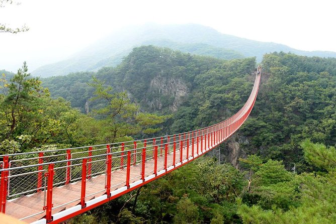 DMZ Tour: 3rd Tunnel, Option(Suspension Bridge, Boat) from Seoul - Choosing the Gamaksan Chulleong Suspension Bridge