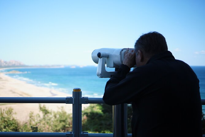 DMZ Tour for Sokcho Cruise Travelers in South Korea - Chan’s role makes the day easier
