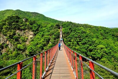 DMZ Tour from Seoul – Optional Suspension Bridge Experience