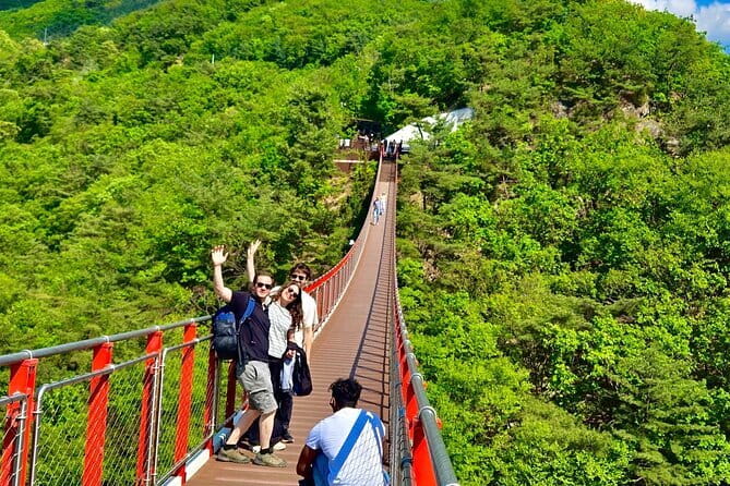 DMZ Tour + The War Memorial of Korea Museum - Guides, Group Size, and the Human Side of the Day