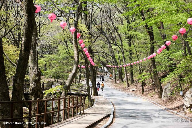 Donghaksa Temple Cherry Blossom and Jeonju Hanok Village - The road from Gongju to Jeonju