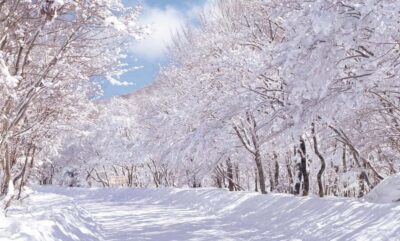 East Jeju: Day Tour with Seongsan Peak & Haenyeo Performance