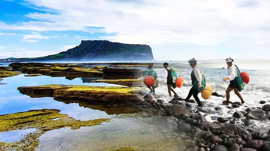 East Jeju: Day Tour with Seongsan Peak & Haenyeo Performance - The Haenyeo performance and a living island tradition