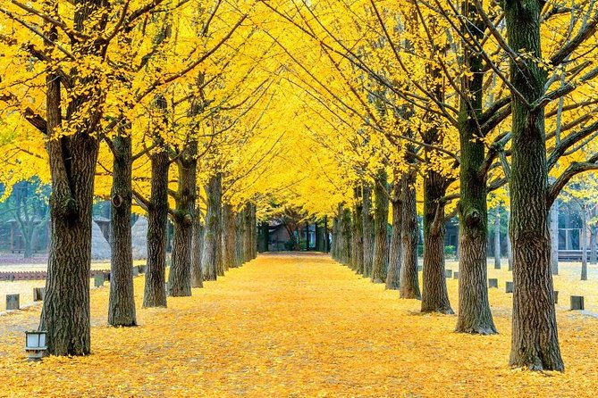 Easy private tour to Nami Island, Garden of Morning Calm - The Winter Sonata connection
