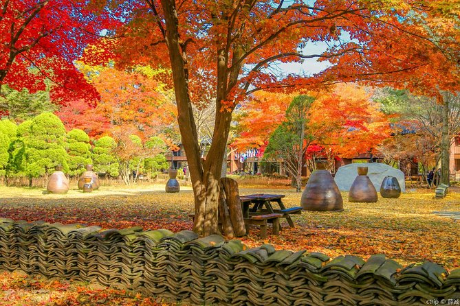 Easy private tour to Nami Island, Garden of Morning Calm - How private guiding changes the day