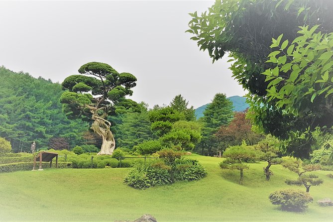 Easy private tour to Nami Island, Garden of Morning Calm - Cancellation and booking basics
