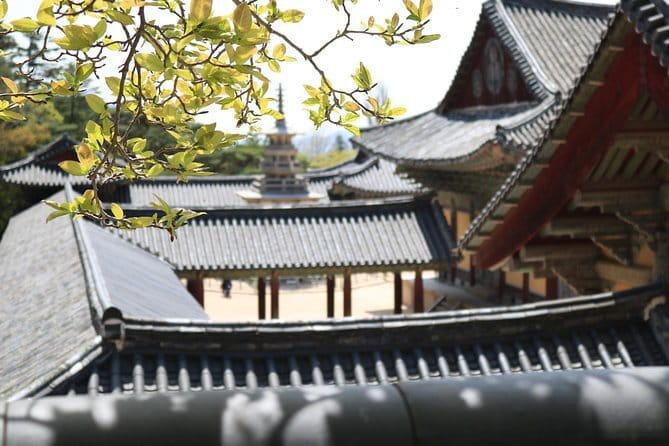 Echoes of Silla Gyeongju Historical Guided Day Tour from Busan - Hwangnidan-gil: old buildings with a modern pulse