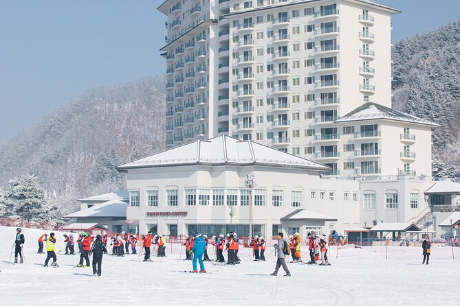 Elysian Gangchon Winter Ski + Eobi Ice Valley Day Tour fr Seoul - Price, extra costs, and overall value