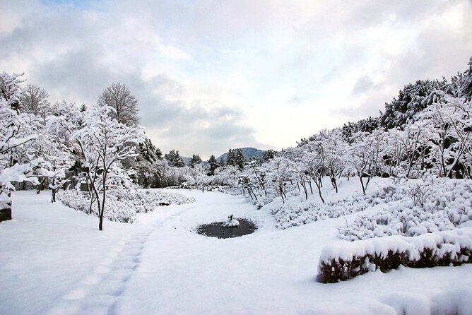 Elysian Gangchon Winter Ski with Nami Island Day Tour from Seoul - Why this Seoul winter day works
