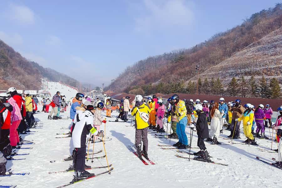 Elysian Ski Day Tour (Ski & Snow Board Full Package) - Key points at a glance