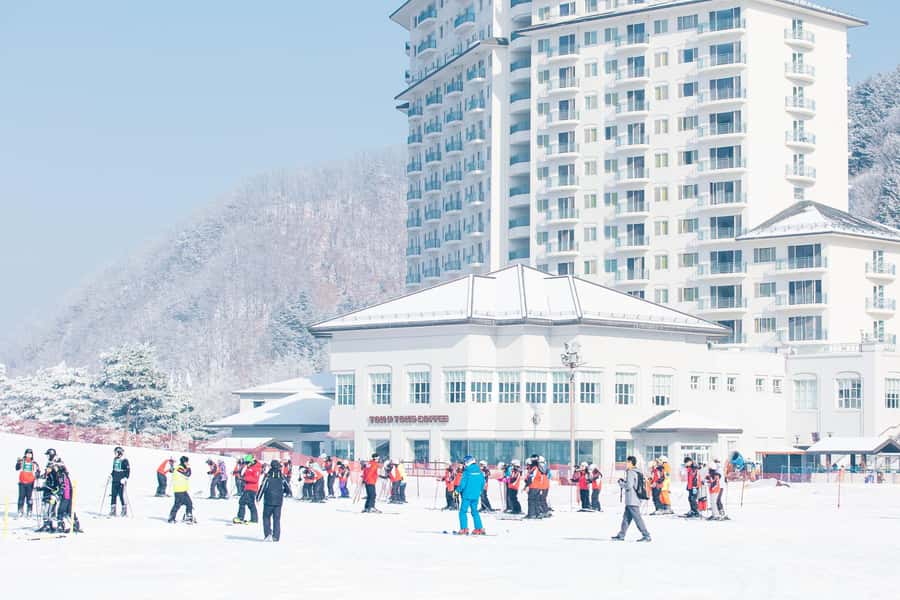 Elysian Ski Day Tour (Ski & Snow Board Full Package) - Who should book this ski day?