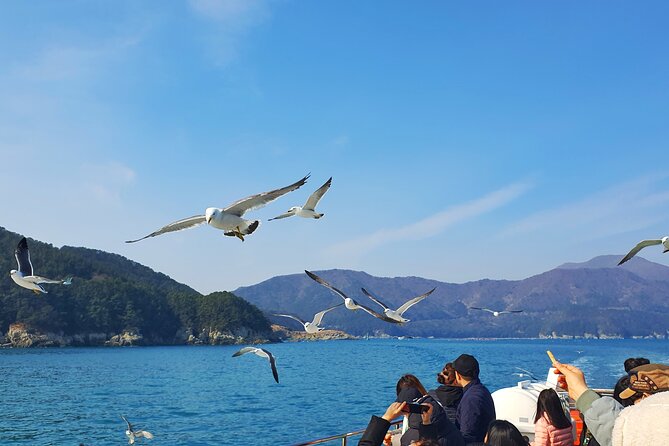 Enchanting Oedo Island Day Tour from Busan with Windy Hill - Oedo’s terraces, flowers, and sea views