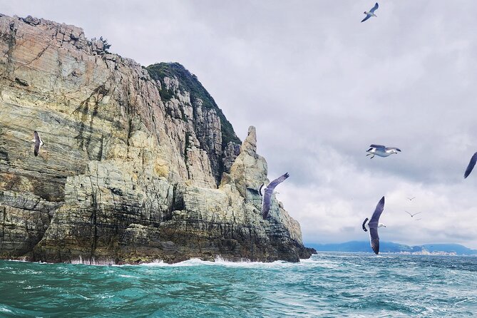 Enchanting Oedo Island Day Tour from Busan with Windy Hill - Riding the Geoje Panorama Cable Car