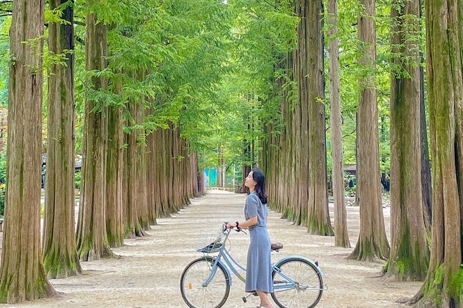 Eobi Ice Valley& Nami Island with Garden of Morning Calm Trip - Petite France: Read the Schedule Carefully