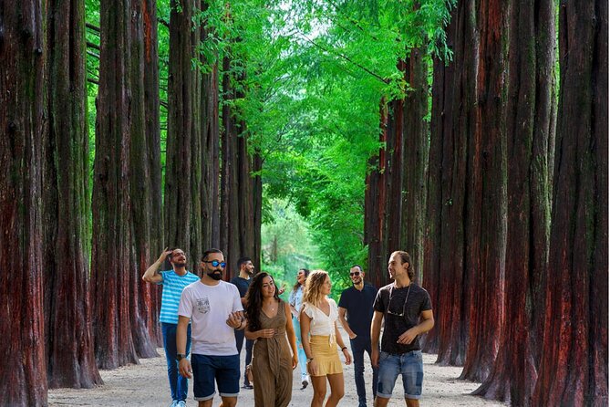 Eobi Ice Valley& Nami Island with Garden of Morning Calm Trip - Eobi Valley and Its Winter Ice