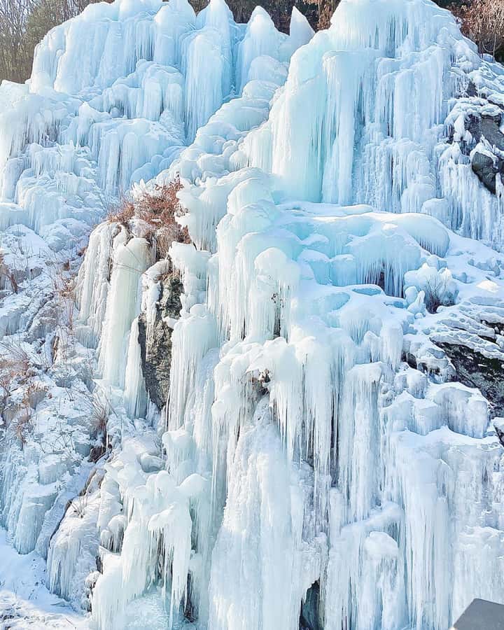 Eobi Ice Valley & Nami (+ Light Festival, Railbike, Alpaca) - Who will enjoy this day trip most