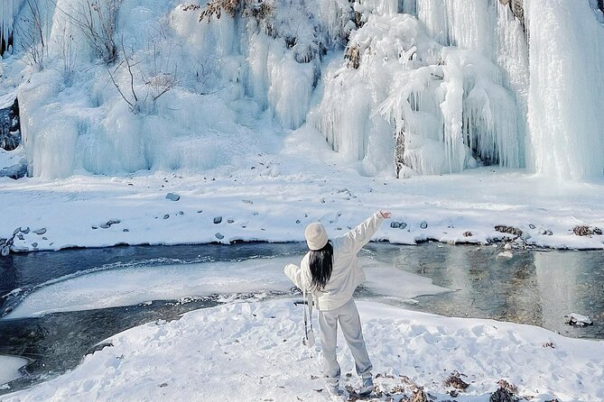 Eobi Ice Wall & Nami Island & Morning Calm Light Festival - Five things to know before booking