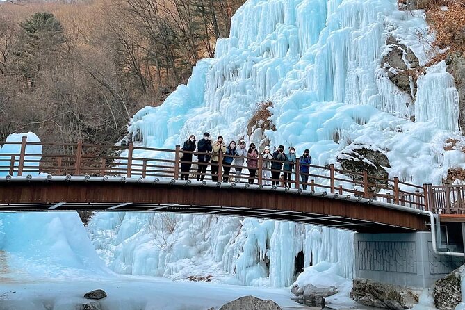 Eobi Ice Wall & Nami Island & Morning Calm Light Festival - Nami Island: the main event with three hours to roam