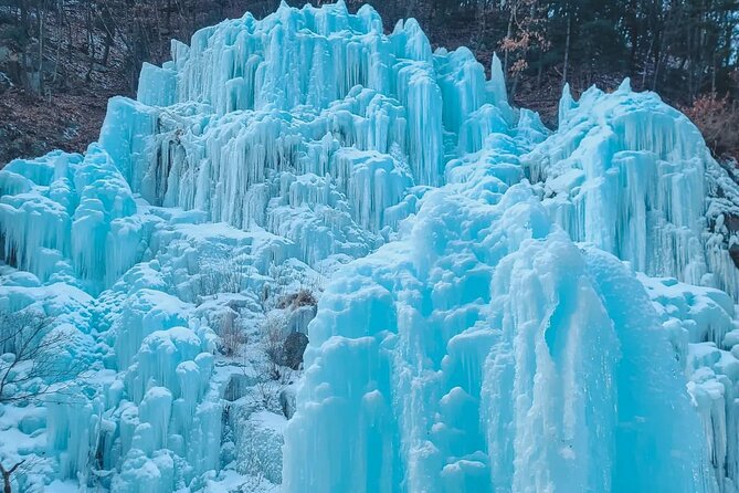 Eobi Ice Wall & Nami Island & Morning Calm Light Festival - Garden of Morning Calm after sunset