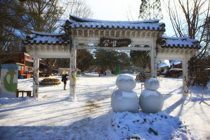 Eobi Ice Wall & Nami Island & Morning Calm Light Festival - The guide and driver can shape the whole experience
