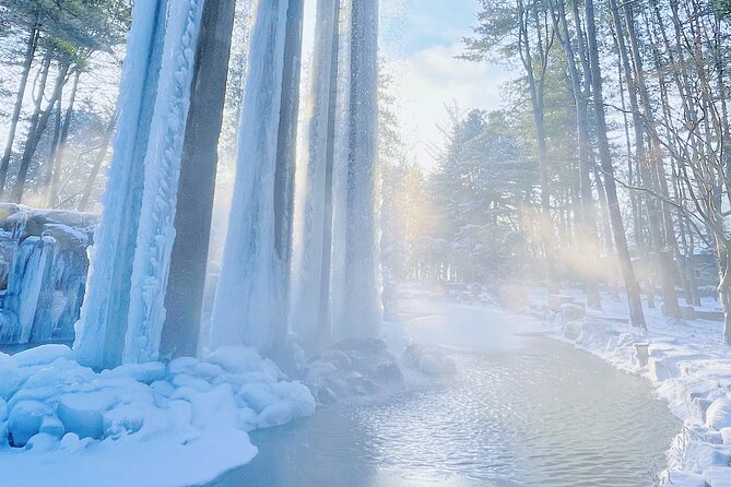 Eobi Ice Wall & Nami Island & Morning Calm Light Festival - Is $74.33 good value?