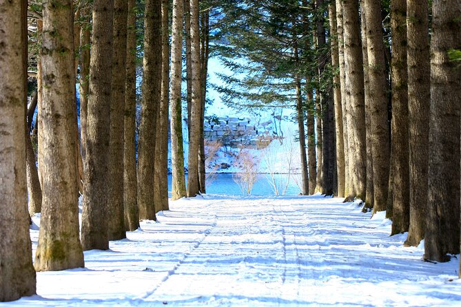 Eobi Ice Wall & Nami Island & Morning Calm Light Festival - Practical details before you go
