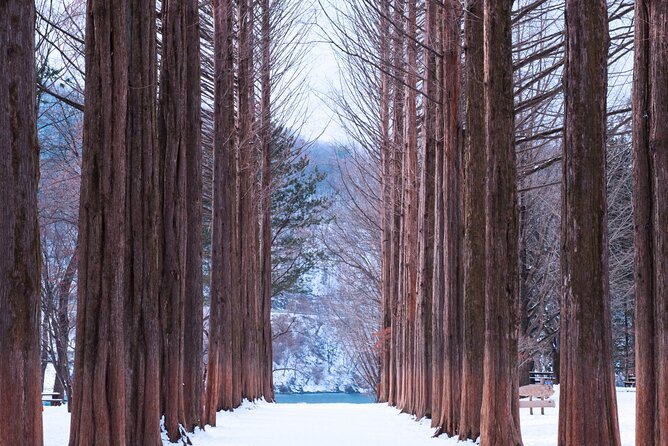 Eobi Valley(Winter), Strawberry, Nami Island & Railbike fr Seoul - What this Seoul countryside day trip includes