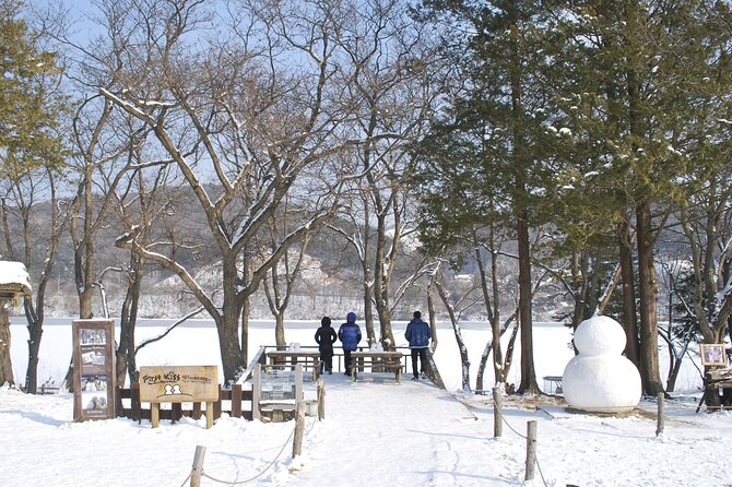 Eobi Valley(Winter), Strawberry, Nami Island & Railbike fr Seoul - Gangchon Rail Park: a countryside ride with a fixed rhythm