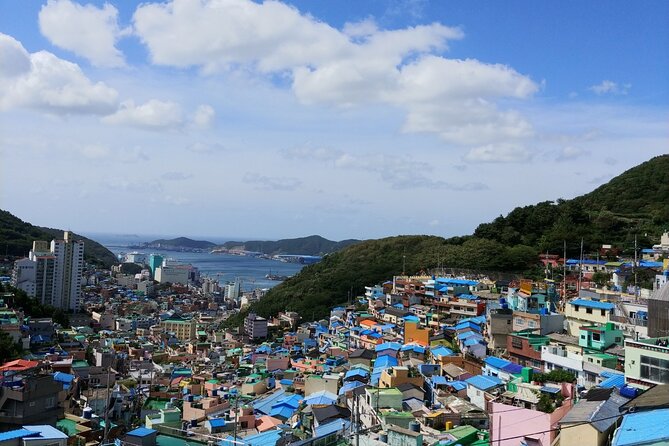 Essence Korea 3days Ptivate Tour(West/East) - The private guide can make or break the experience