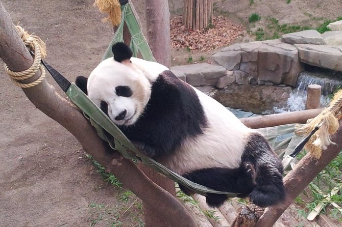 EVERLAND "From Hotel to Hotel" [Premium Private Tour: Only One Group for You] - What the $188 price really covers