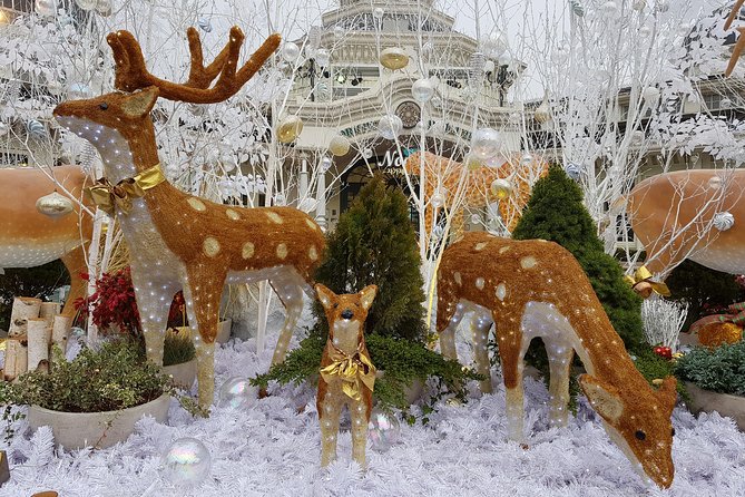 Everland Private Shuttle "Total Private Tour: More Members Less Cost" - Pickup, Timing, and the Return to Seoul
