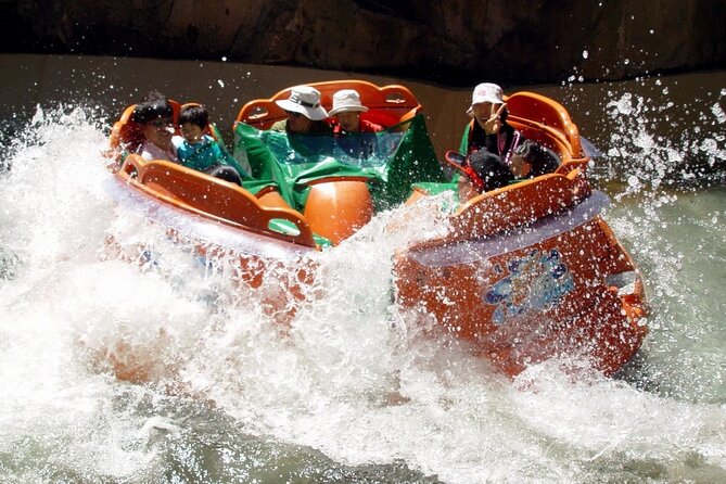 Everland Theme Park Admission Ticket with Transfer from Seoul - Who will get the most from this day