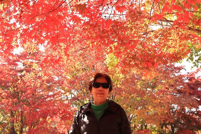 Exclusive Private Trip to Mt Seorak & East Sea!! - Sokcho’s East Sea options