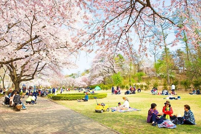 Family Day In Seoul With A Local: Private & Personalized - Themed Cafes And Animal Encounters