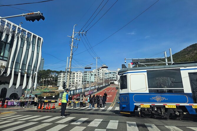 For Busan Cruise Guest highlight Day tour - What the Guide Adds to a Fast Day