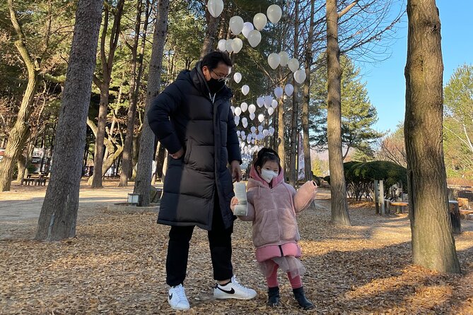 Four Seasons of Nami Island with Garden of Morning Calm Tour - Petit France and the Stated Route