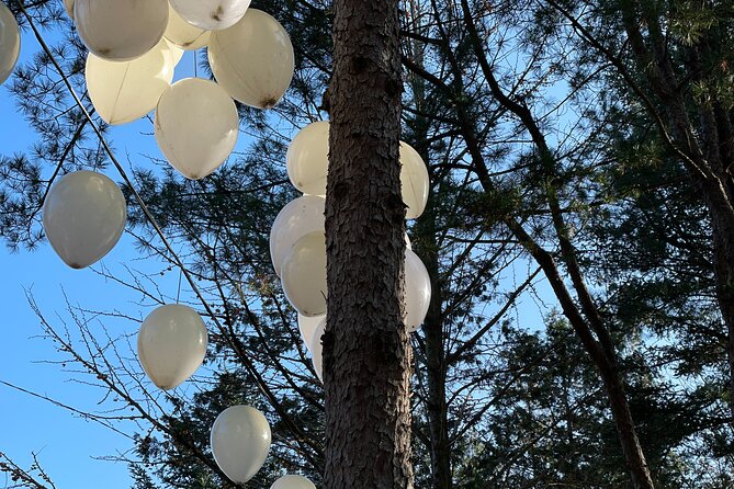 Four Seasons of Nami Island with Garden of Morning Calm Tour - Transport, Timing, and Guide Support