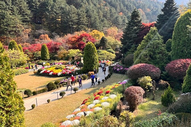 Four Seasons of Nami Island with Garden of Morning Calm Tour - Who Will Get the Most From This Day?