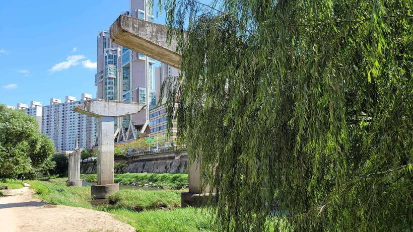 Free day in private Seoul with English-speaking guide - What the guide adds to the day