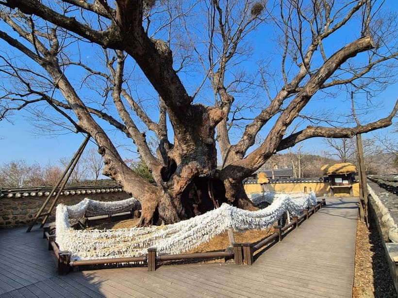 From Andong: 2-Day Andong and Gyeongju UNESCO Tour - Woryeonggyo Bridge after dark