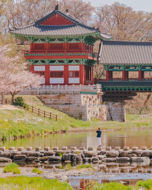 From Busan: Busan & Gyeongju One Day Tour - Hwangnidan-gil for food and modern Gyeongju