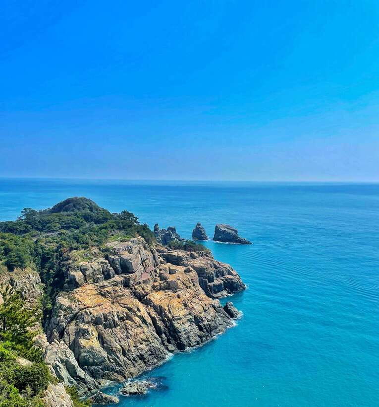 From Busan: Enchanting Oedo Island Day Tour with Windy Hill - Windy Hill, one hour of open coastal views