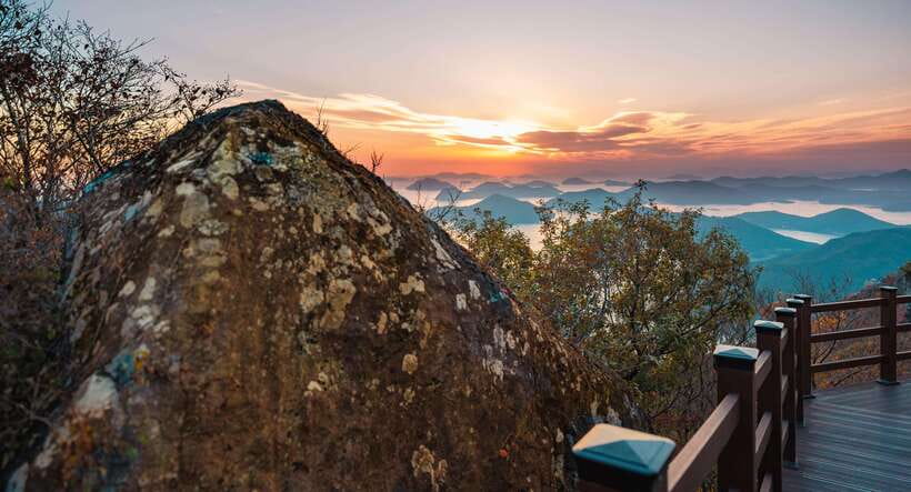 From Busan: Enchanting Oedo Island Day Tour with Windy Hill - Four hours on the bus: the cost of seeing Geoje