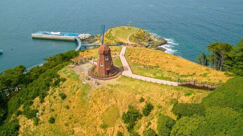 From Busan: Enchanting Oedo Island Day Tour with Windy Hill - Lunch, language support, and the value of $91