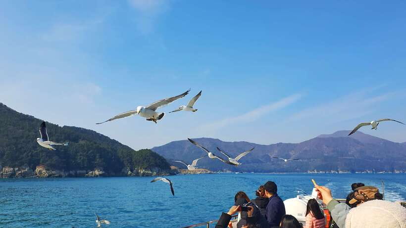 From Busan: Enchanting Oedo Island Day Tour with Windy Hill - What the guides add to the day