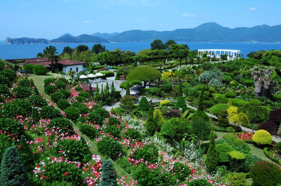 From Busan: Enchanting Oedo Island Day Tour with Windy Hill - Who will enjoy this trip most